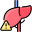 hepatoxity icon